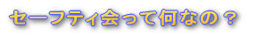 セーフティー会って何なの?