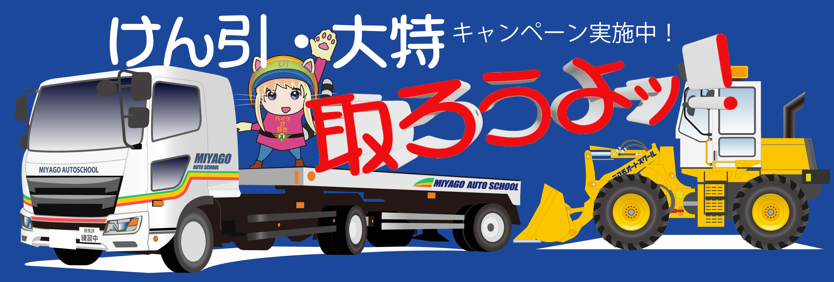 イメージ334